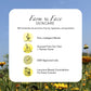 Kashmir Lavender Pure Essential Oil